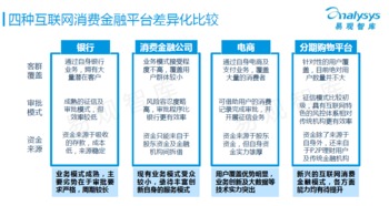 中國(guó)互聯(lián)網(wǎng)消費(fèi)金融市場(chǎng)專(zhuān)題研究報(bào)告 金融信息服務(wù)的現(xiàn)狀與前景